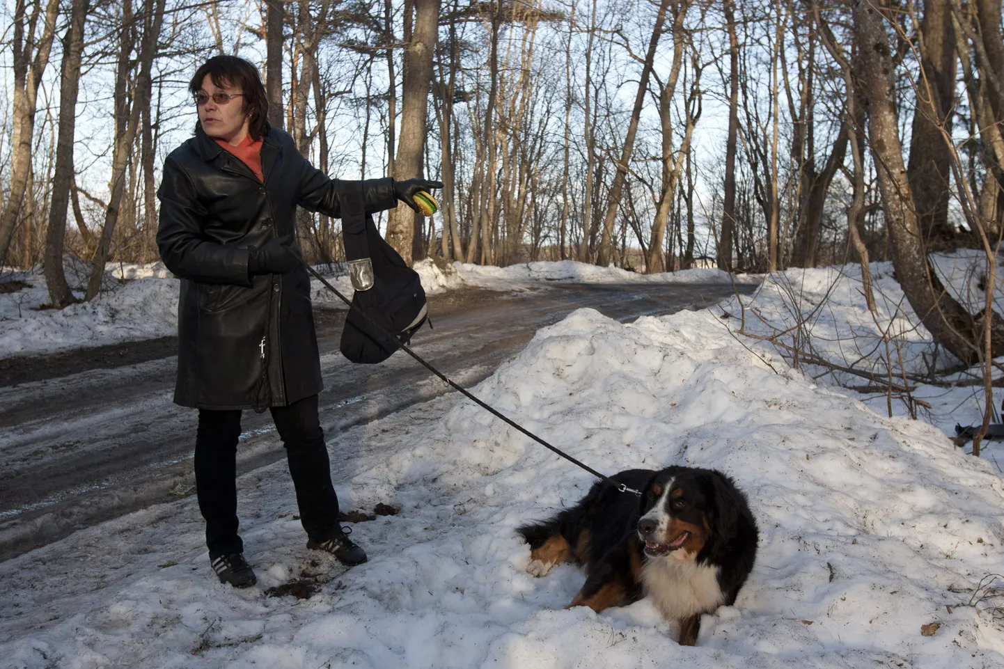 На этом месте Наталья Береснева, гуляя с собакой, нашла труп несчастного щенка.