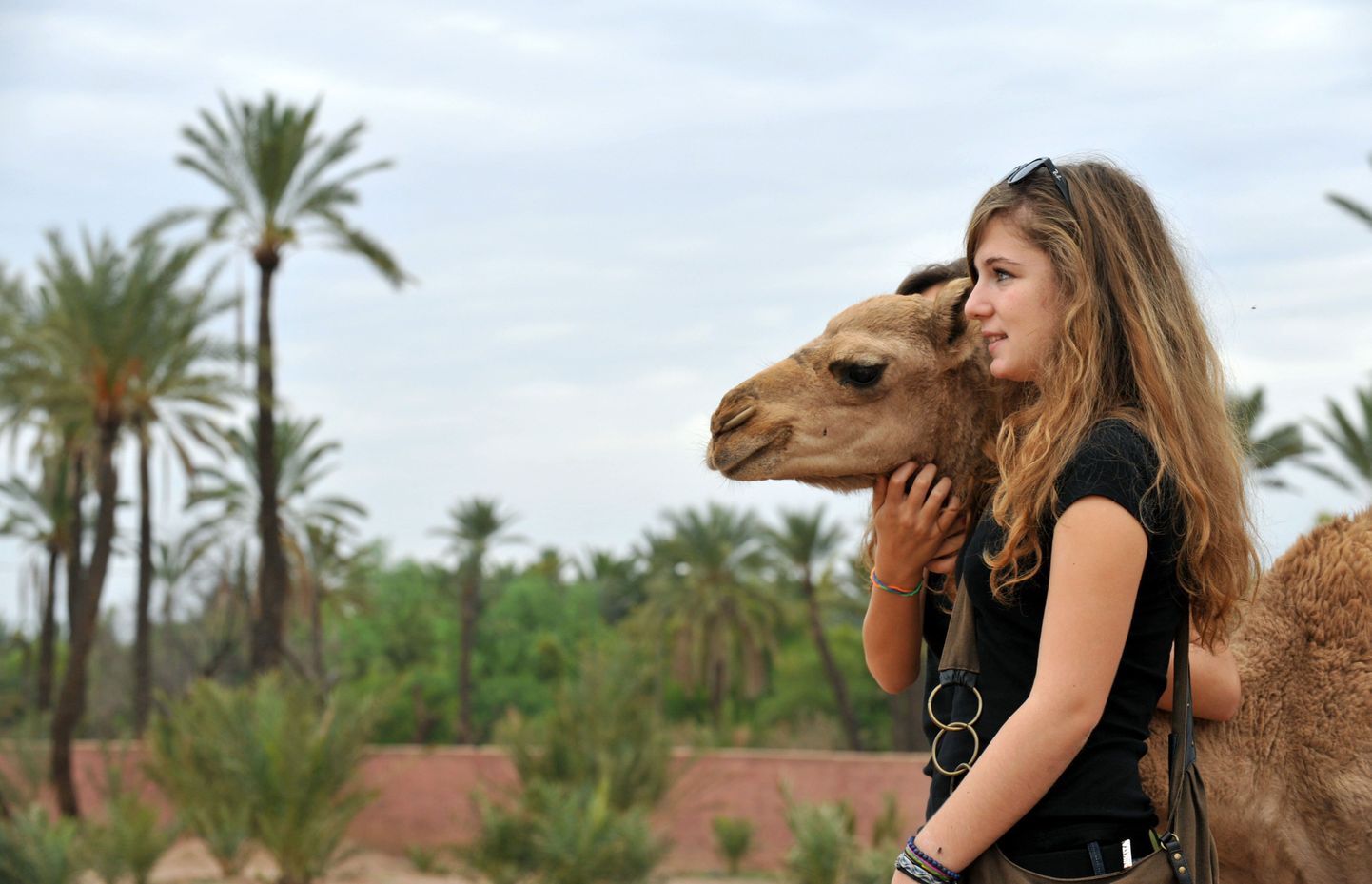 Tüdruk ja kaamel