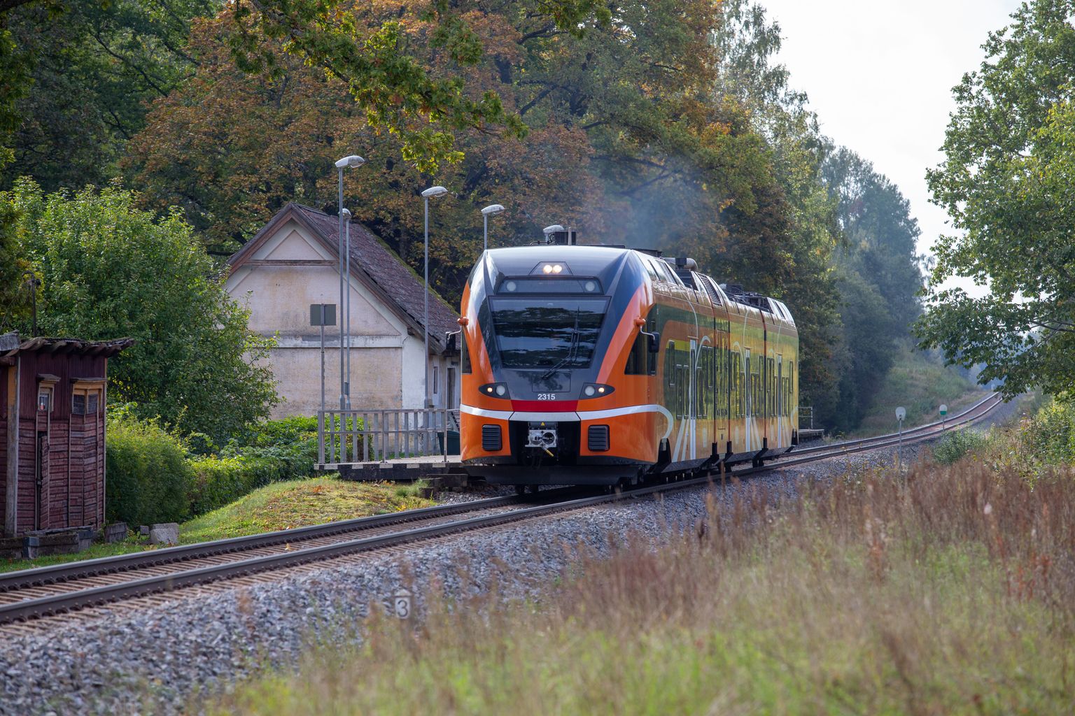 Hetkel on Mustjõe külas ainsa ühistranspordiliigina kasutada rong. Illustreeriv foto rongist.