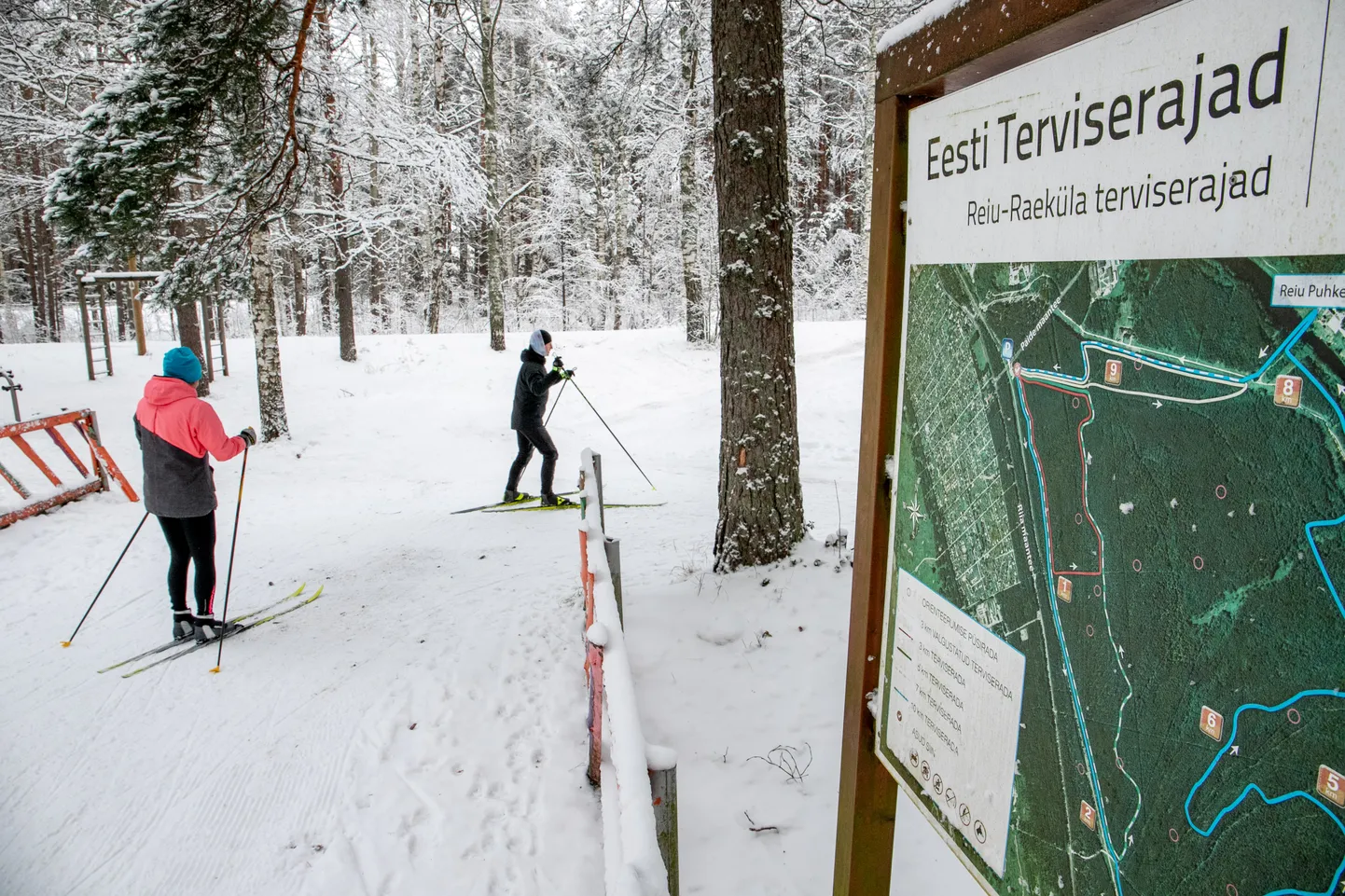 Reiu-Raeküla terviserada