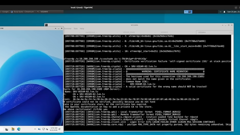 VIDEO ⟩ Hakeris par LVM datu atšifrēšanu sagaida vairāk nekā 600 000 eiro