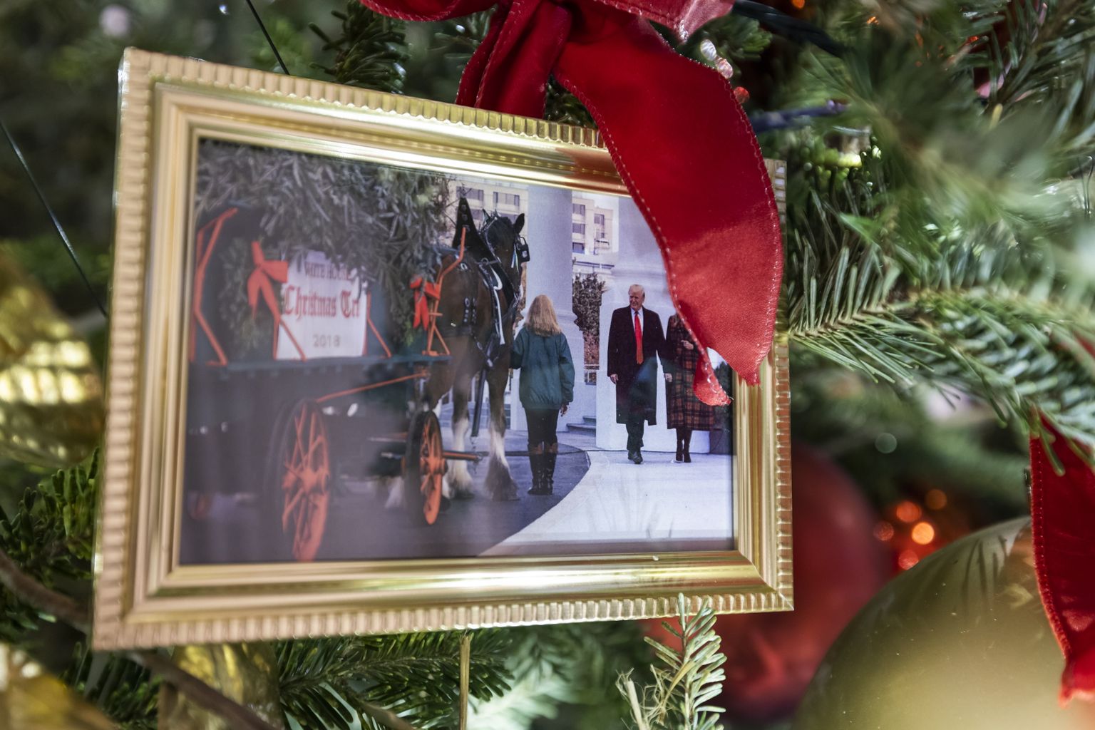 Donald ja Melania Trumpi foto Valges Majas asuval jõulupuul.