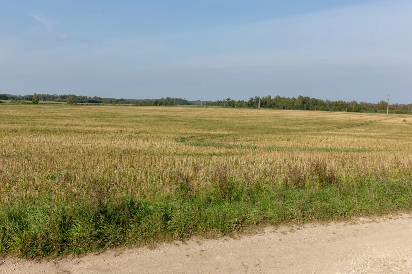 Põllumaa.