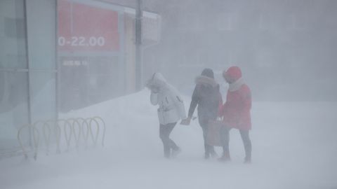 На Эстонию надвигается снежная буря: погодные и дорожные условия будут суровыми
