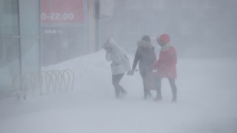 На Эстонию надвигается снежная буря: погодные и дорожные условия будут суровыми