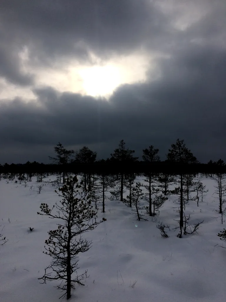 Talvine raba täis ilu ja rahu.