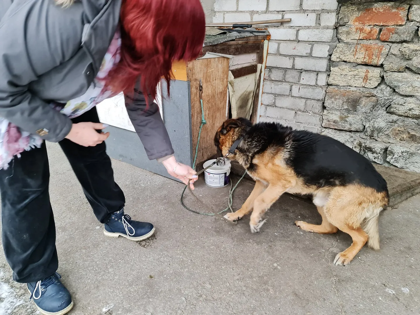 Artikli foto