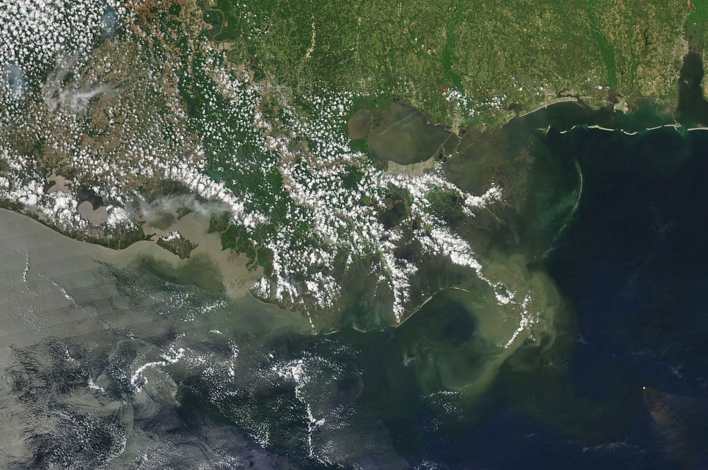 NASA Maa Observatooriumi satelliitfoto Louisiana rannikust ja Mississippi jõe deltast.