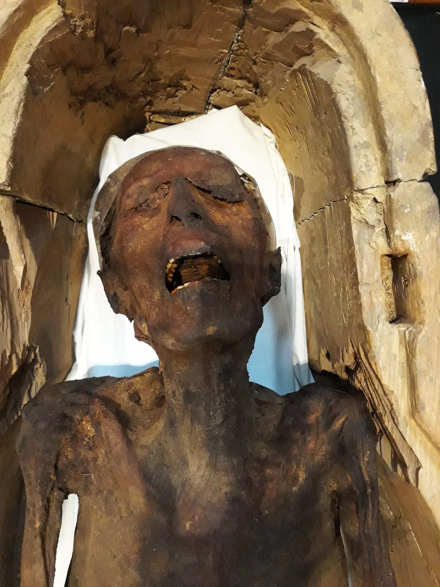 «Karjuv» muumia, mis on Kairos Egiptuse muuseumis