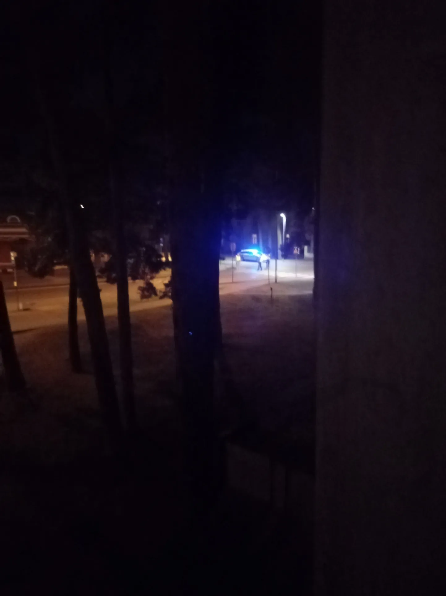 Raksta foto
