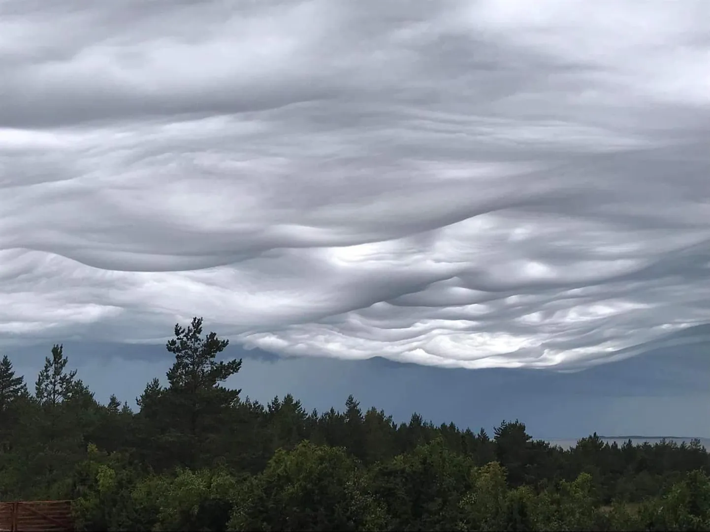 JUSTKUI MAALITUD: Asperitas pilved Muhumaal 23.08.2022 hommikul.