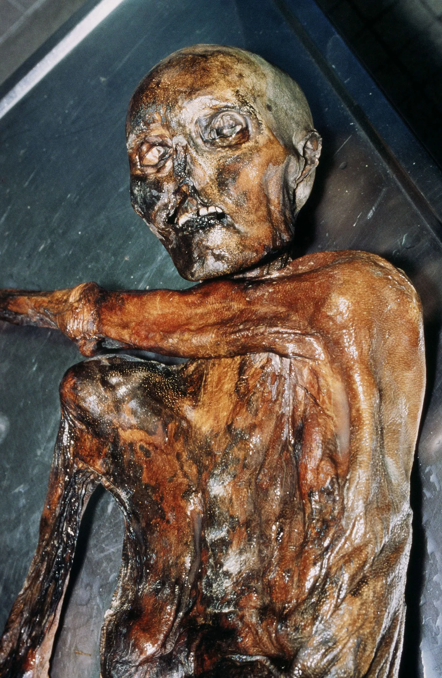 Jäämees Ötzi