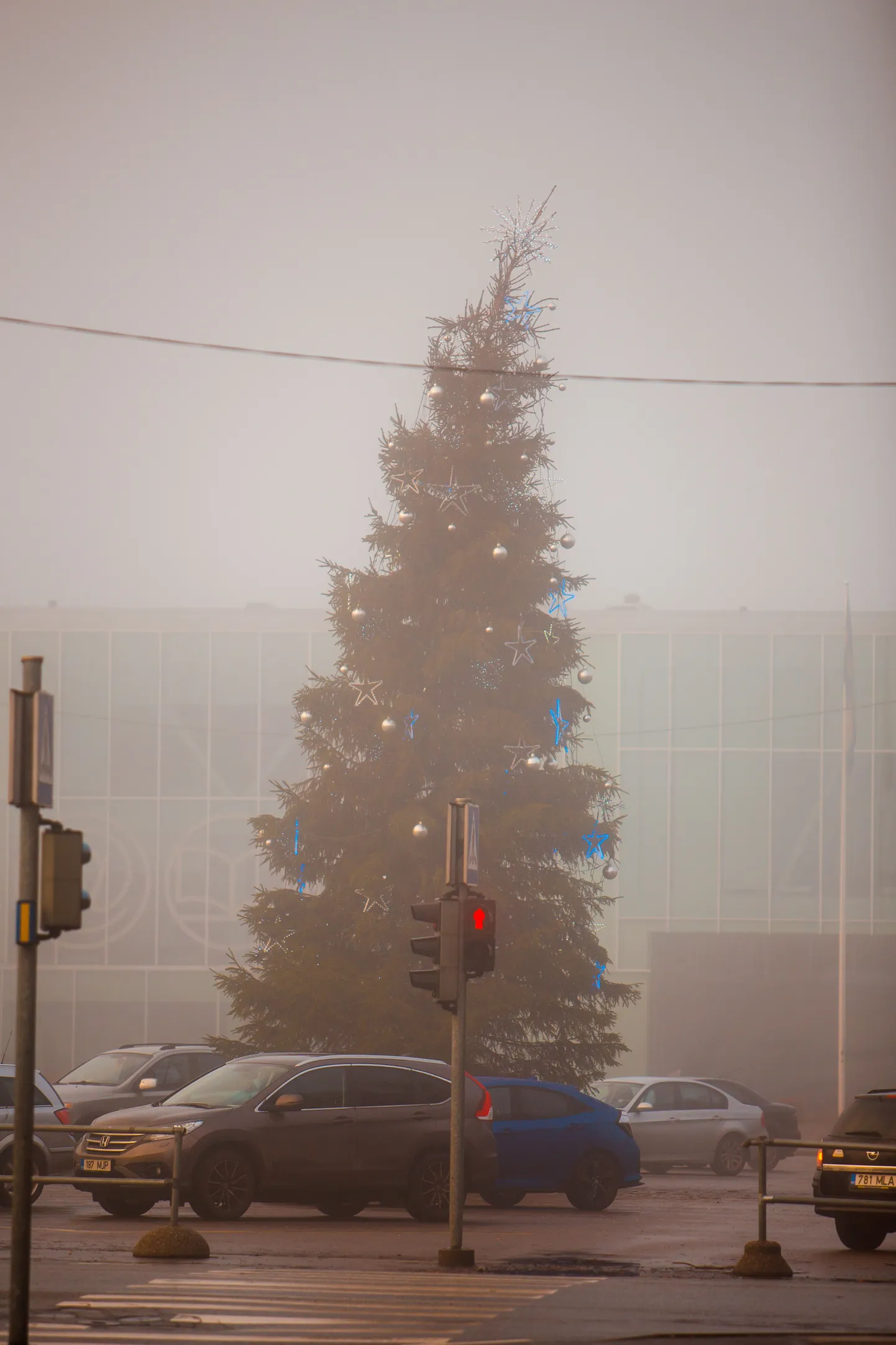 Pärnu linna jõulukuusk.