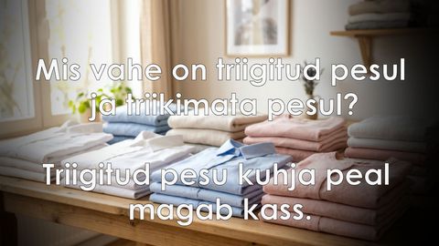 Triigitud pesu ja triikimata pesu