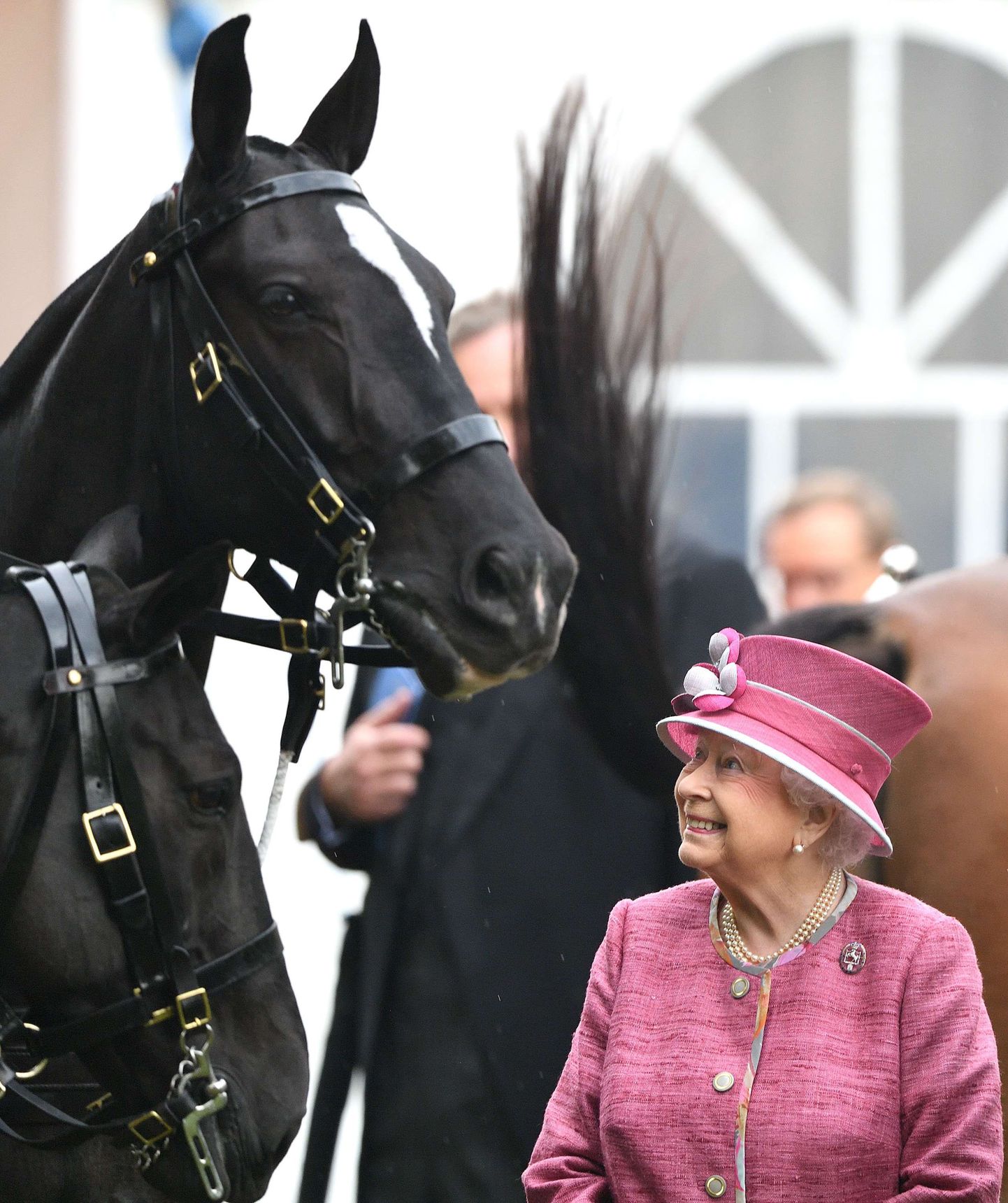 Kuninganna Elizabeth on suur ratsahuviline.