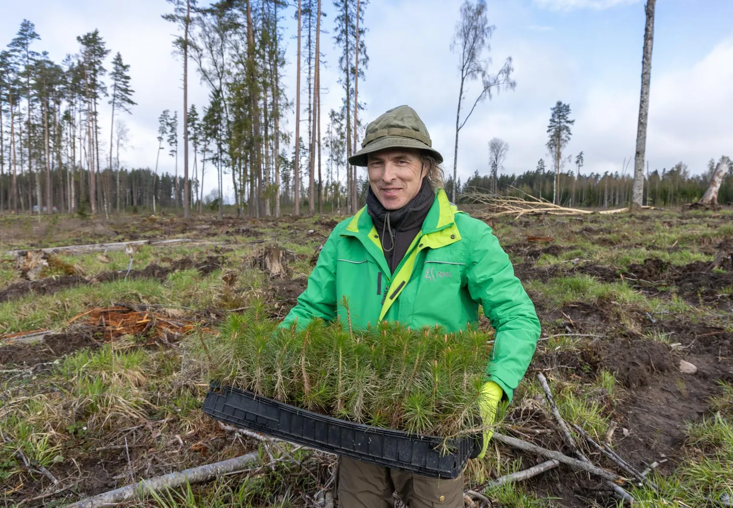 RMK metsakasvataja Ville Vinkel käib vajadusel juhendamas, kuidas on tarvis puid istutada.