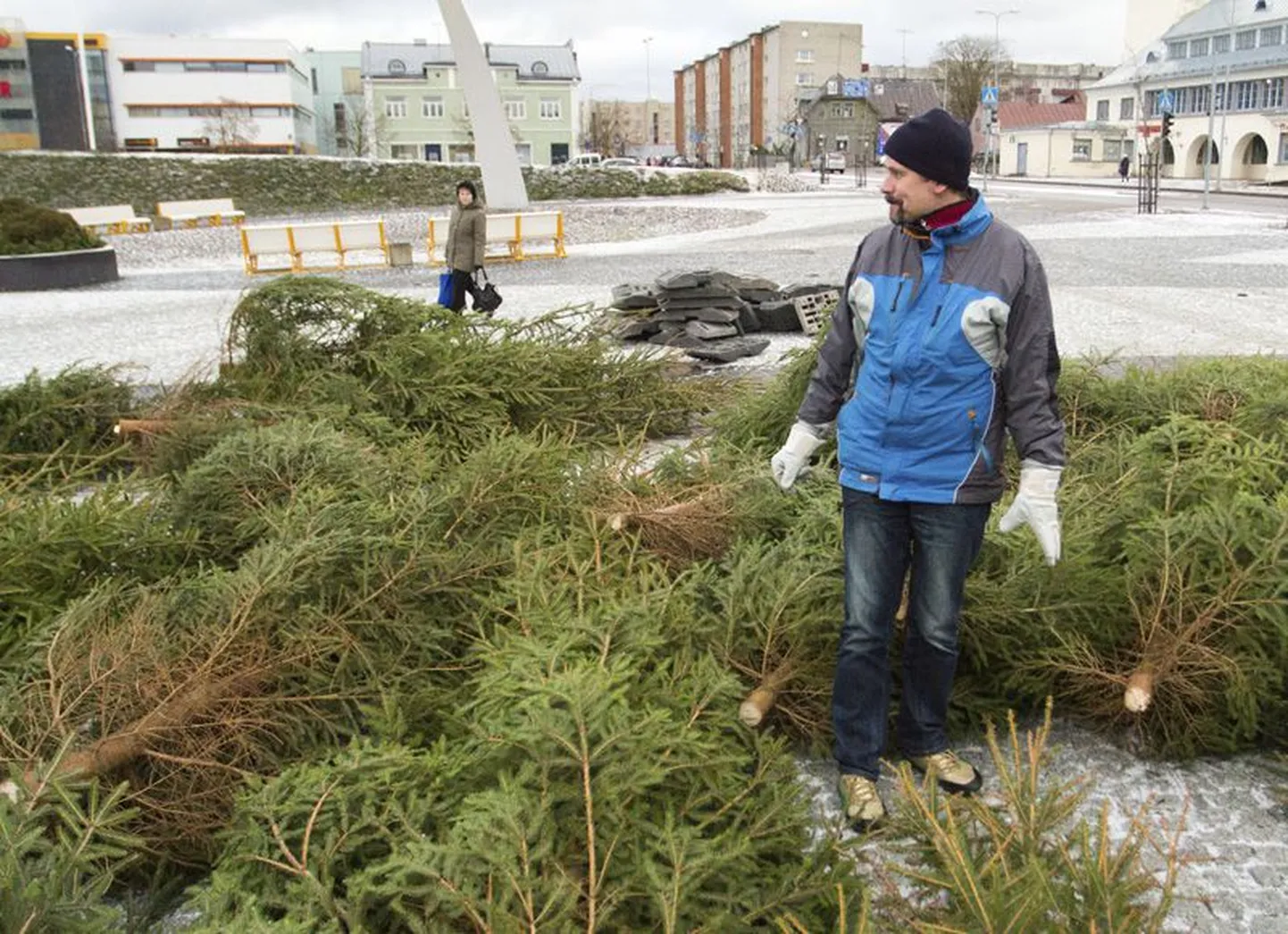 Linnakunstnik Teet Suur moodustas ligi poolesajast kuusest Keskväljakule metsatuka.