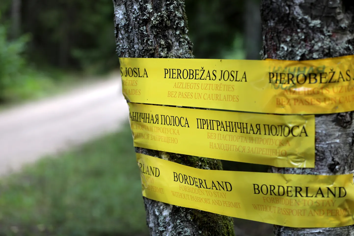 Latvijas-Baltkrievijas pierobežas josla Silenē.