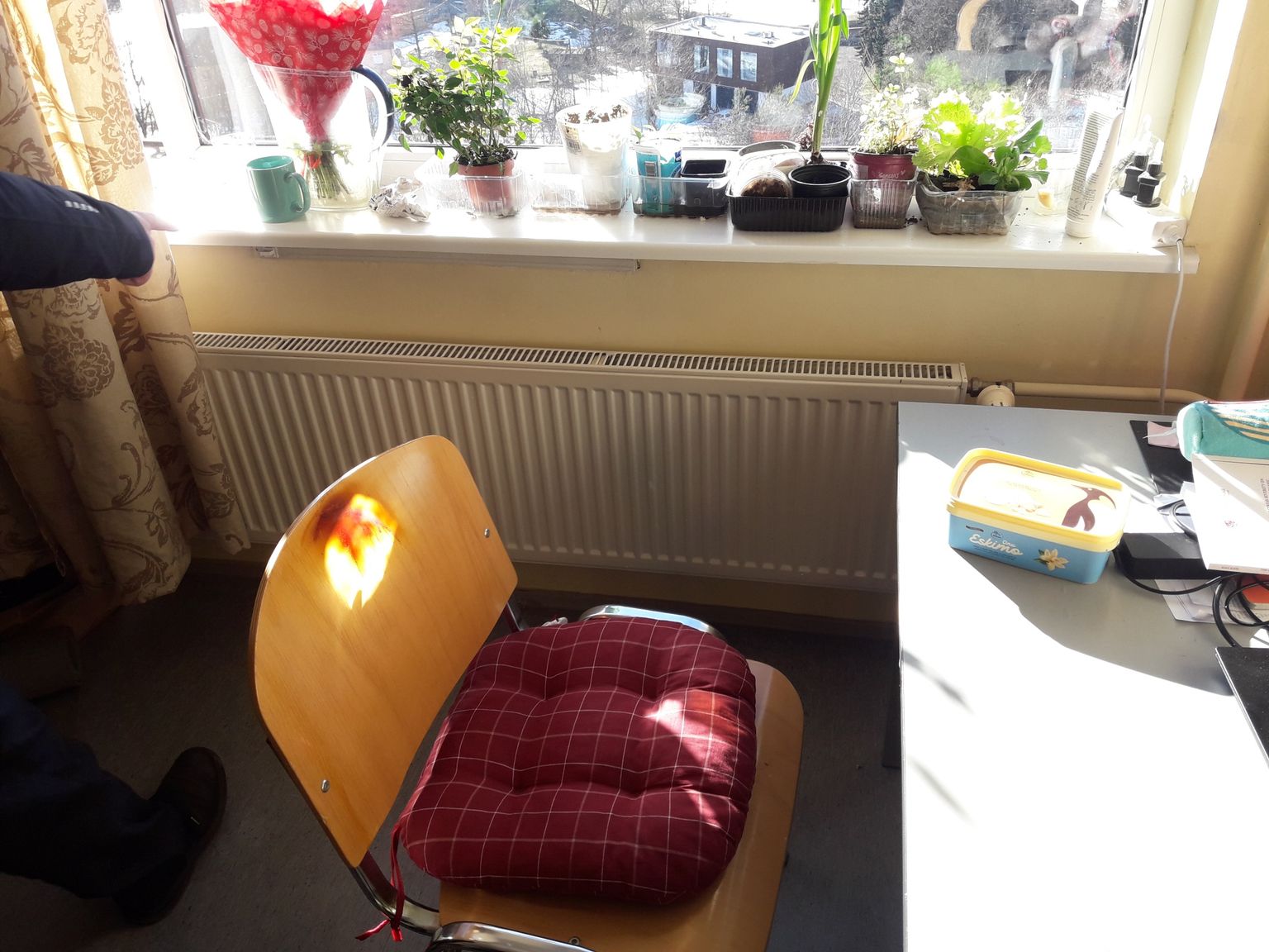 Riided süttisid kumera peegli pinnalt peegeldunud päiksekiirte mõjul.
