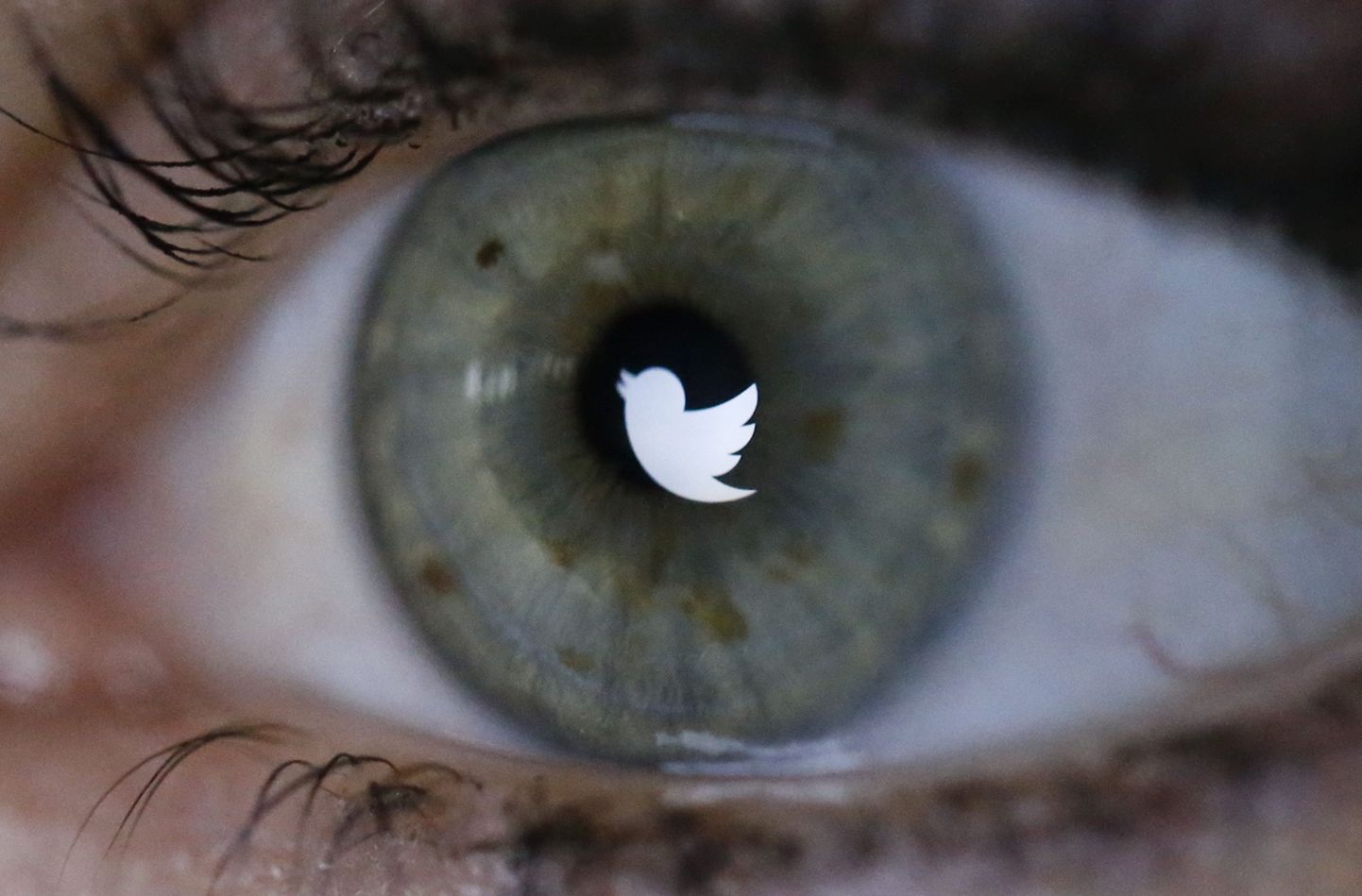 Türgis keelati Twitteri kasutamine