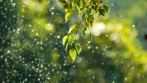 Protestā vērsīs uzmanību uz problēmām vides aizsardzībā