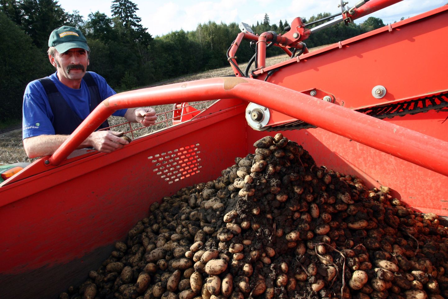 Kartulikasvataja ja MTÜ Eesti Kartul juhatuse liige Kalle Hamburg teab omast käest, et kartulikasvatusega on tööd palju enam, kui pealtnäha tihtilugu tundub.