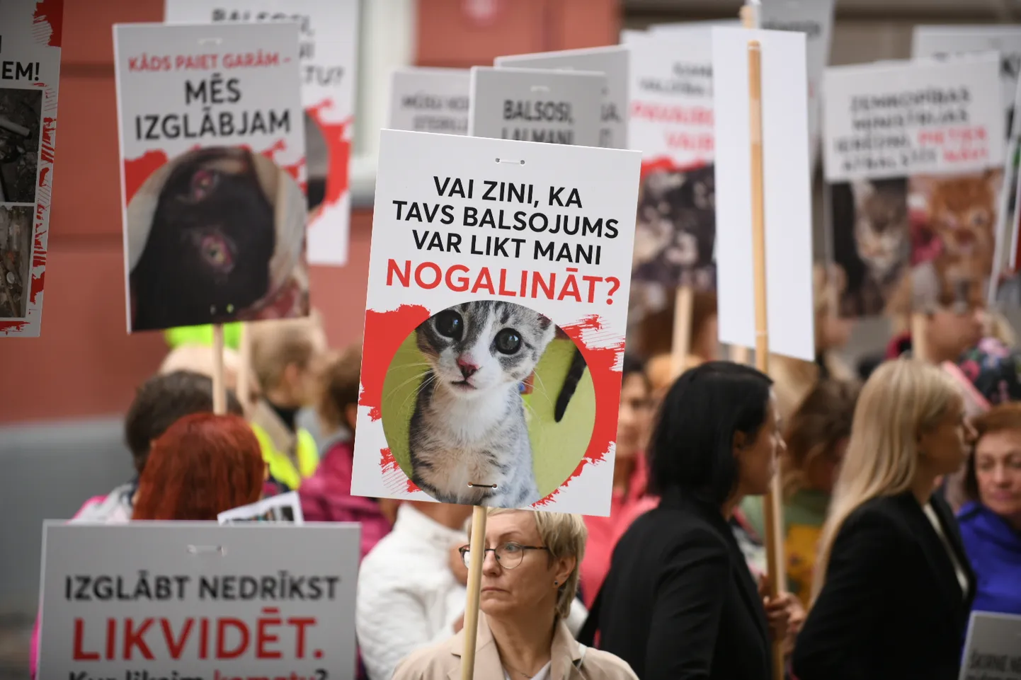 Raksta foto