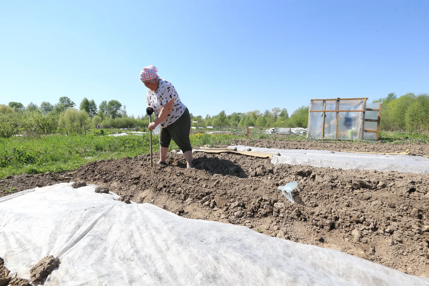 Üks ühiskasutatav põllumaa asub Tartus Hiinalinnas, kus huvilised saavad väikest maalappi harida.