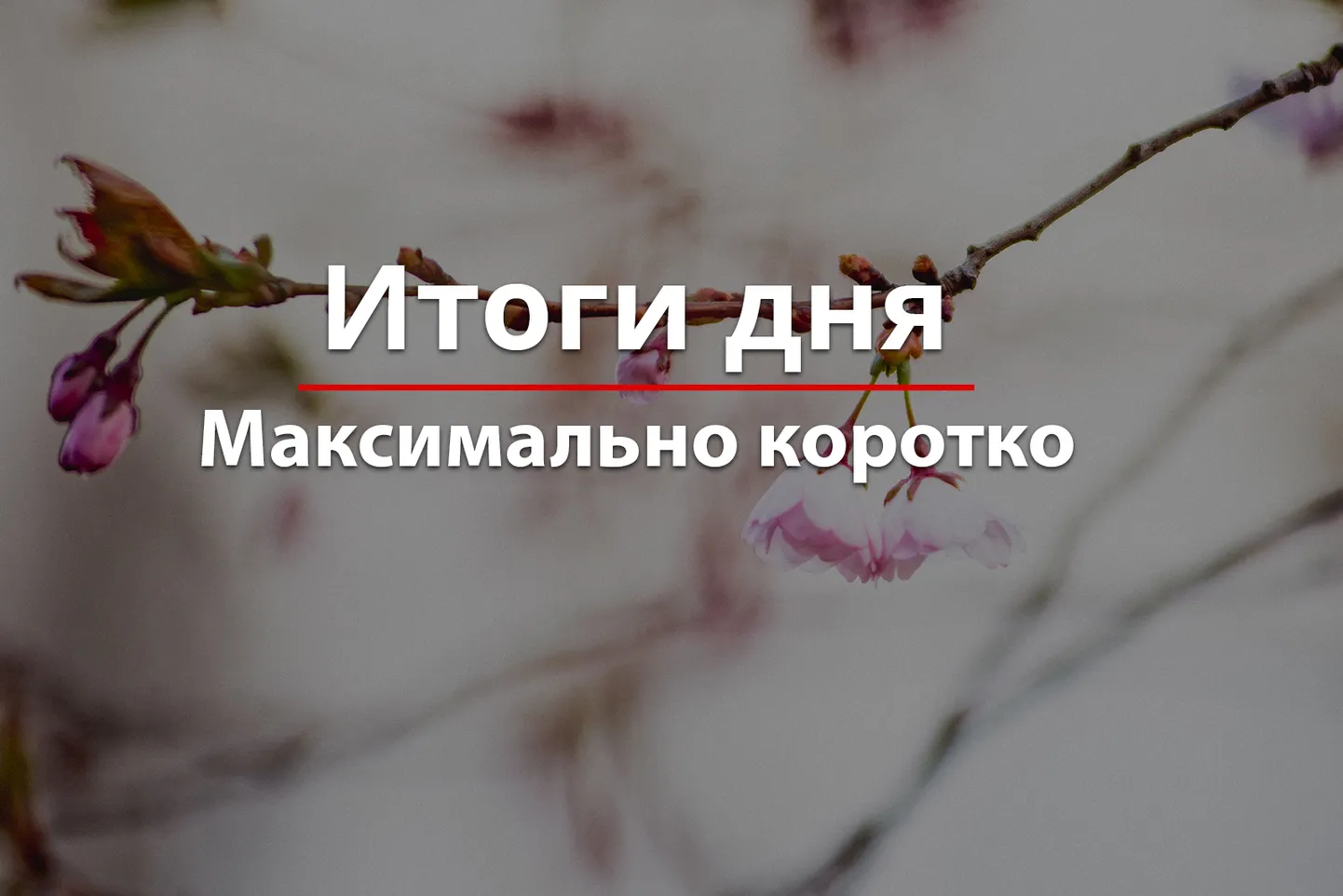 Фото статьи