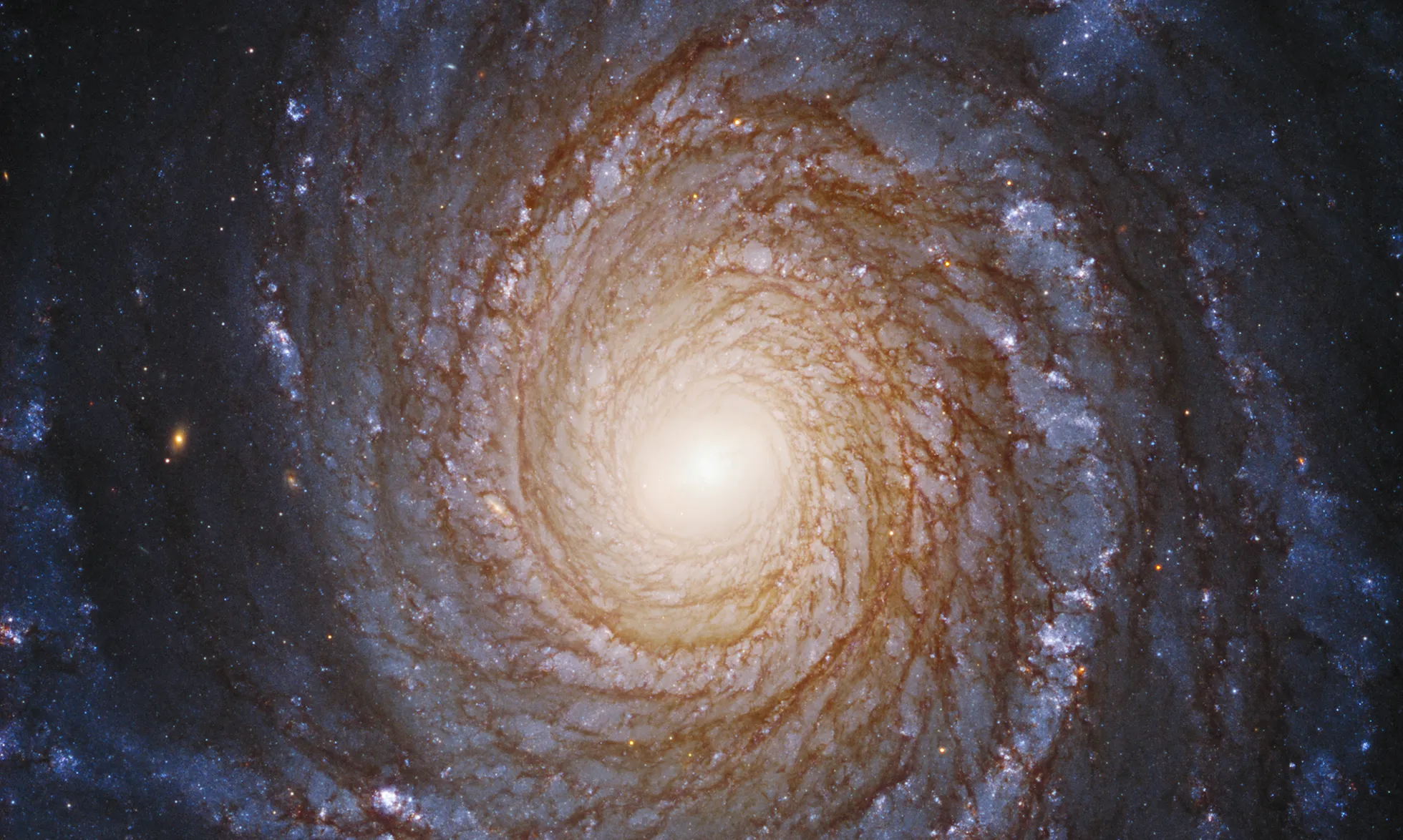 Majesteetliku spiraalse galaktika NGC 3147 haarmed näivad sellel Hubble’i Kosmoseteleskoobi pildil justkui läbi ilmaruumi kulgeva keerdtrepina. Tegelikult on need aga pikad siniste tähtede, roosakate udukogude ja kosmosetolmu jooned. NGC 3147 asub Maast 130 miljoni valgusaasta kaugusel ning selle keskel asub must auk.