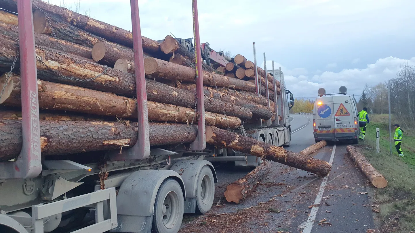 Kirumpää külas kukkusid kolmapäeval pärastlõunal veoki pidurdamisel koormast maha palgid.