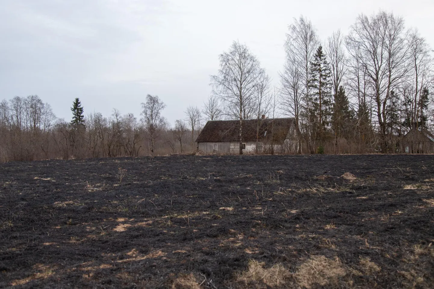 Nädalavahetusel tuli kustutada mitut kulupõlengut. Pilt on illustratiivne.