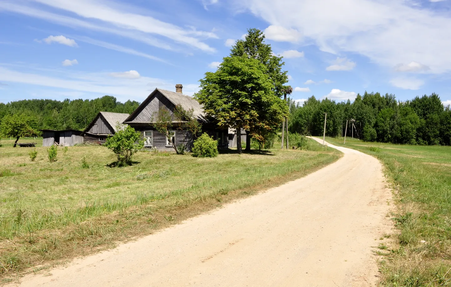 Lauku ceļš Ciblas novada Zvirgzdenes pagastā.