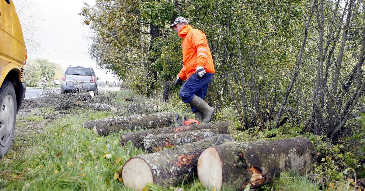 Päästjad eemaldasid teedelt äikesetormis langenud puid
