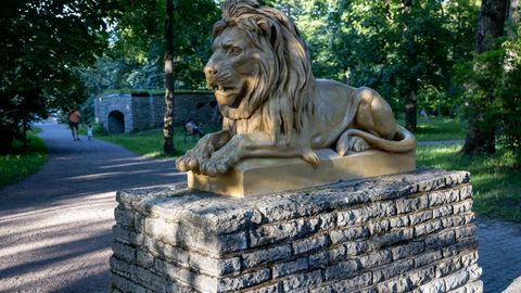 Jüri Kuuskemaa ⟩ Lõvide kaitse all olev park