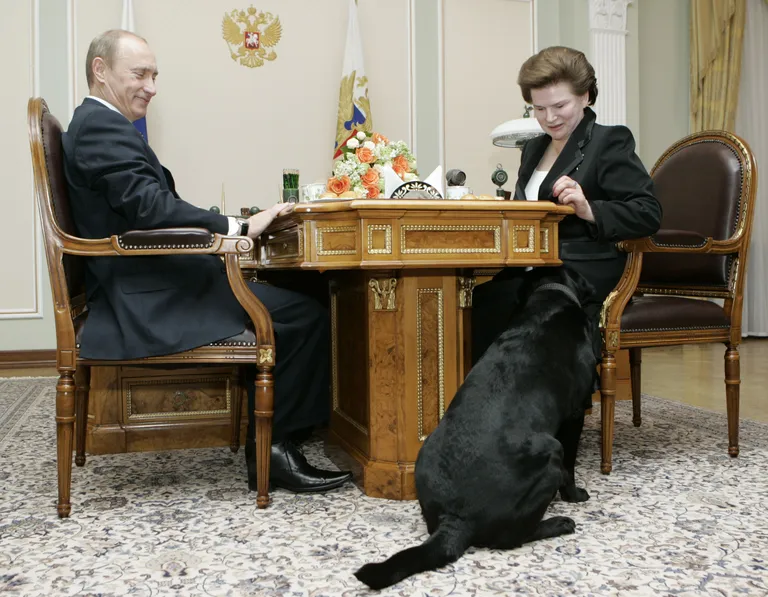 Фото статьи