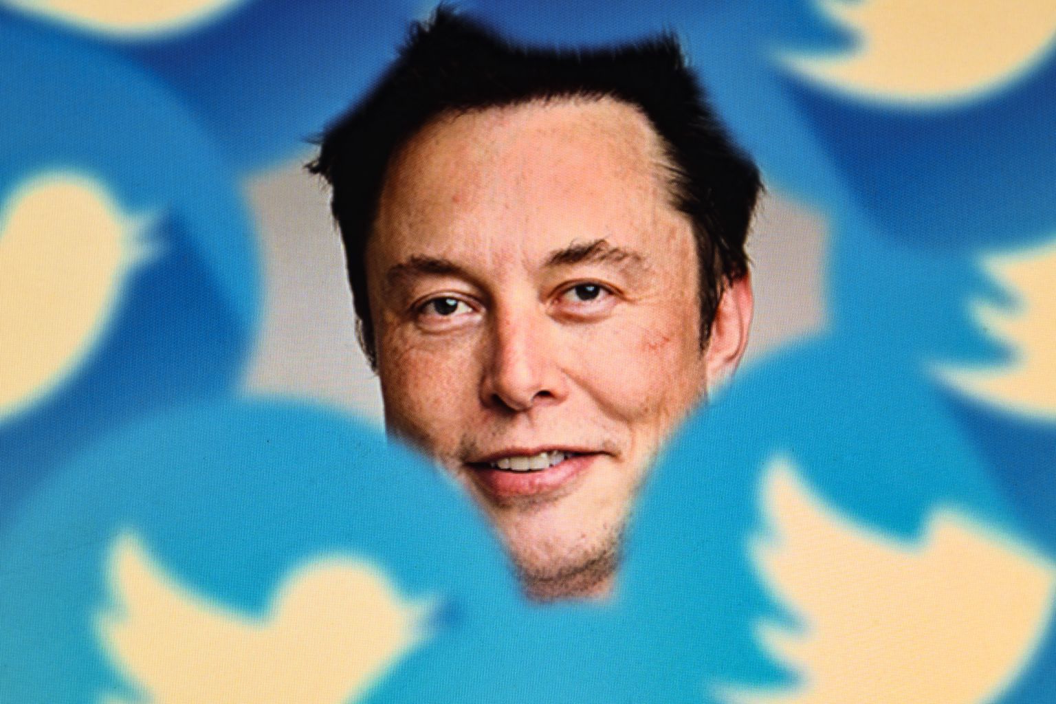 Twitteri omanik ja tegevjuht Elon Musk.