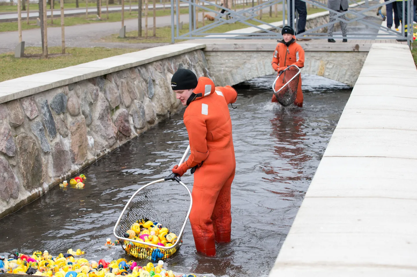 Heategevusliku pardiralli katsetused Kadriorus.
