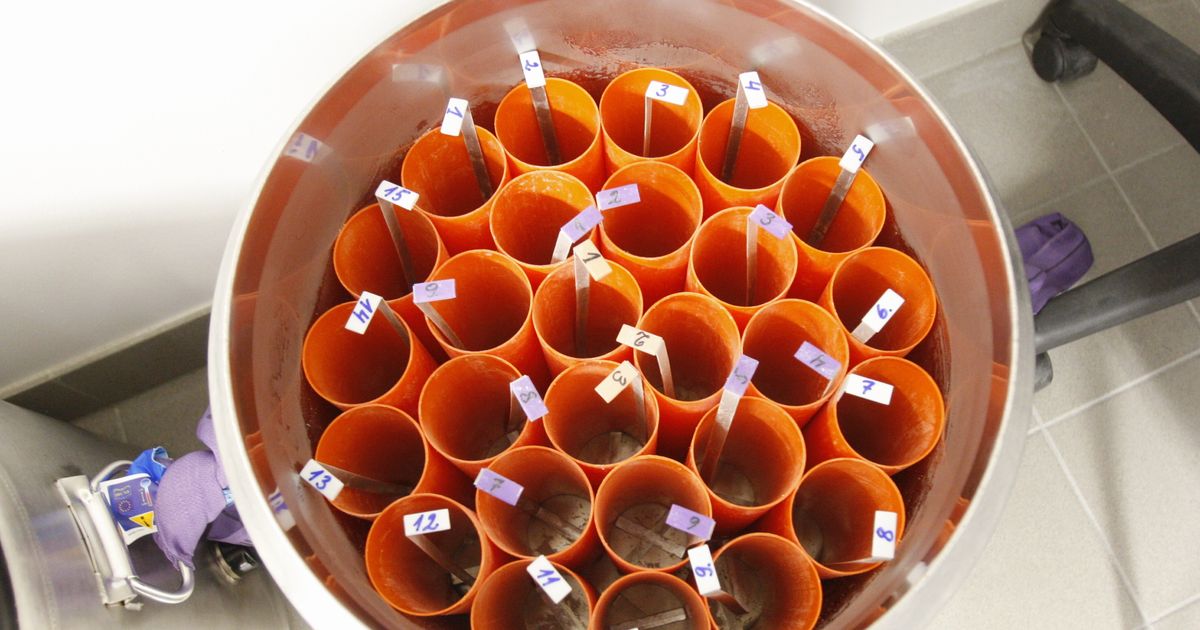 Eesti Geenivaramu kinnitab: eestlaste DNAd me politseiga ei jaga
