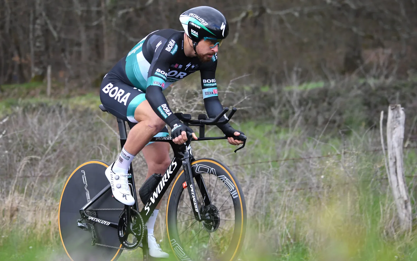 Peter Sagan.
