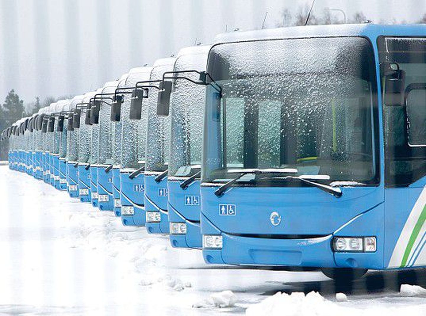 Приобретенные государством 42 новеньких автобуса Iveco уже с середины декабря стоят в порту Палдиски, и не исключено, что они простоят здесь до апреля.