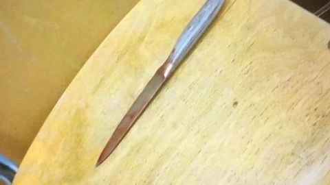 В Подмосковье ученица пятого класса по меньшей мере 30 раз ударила ножом одноклассницу
