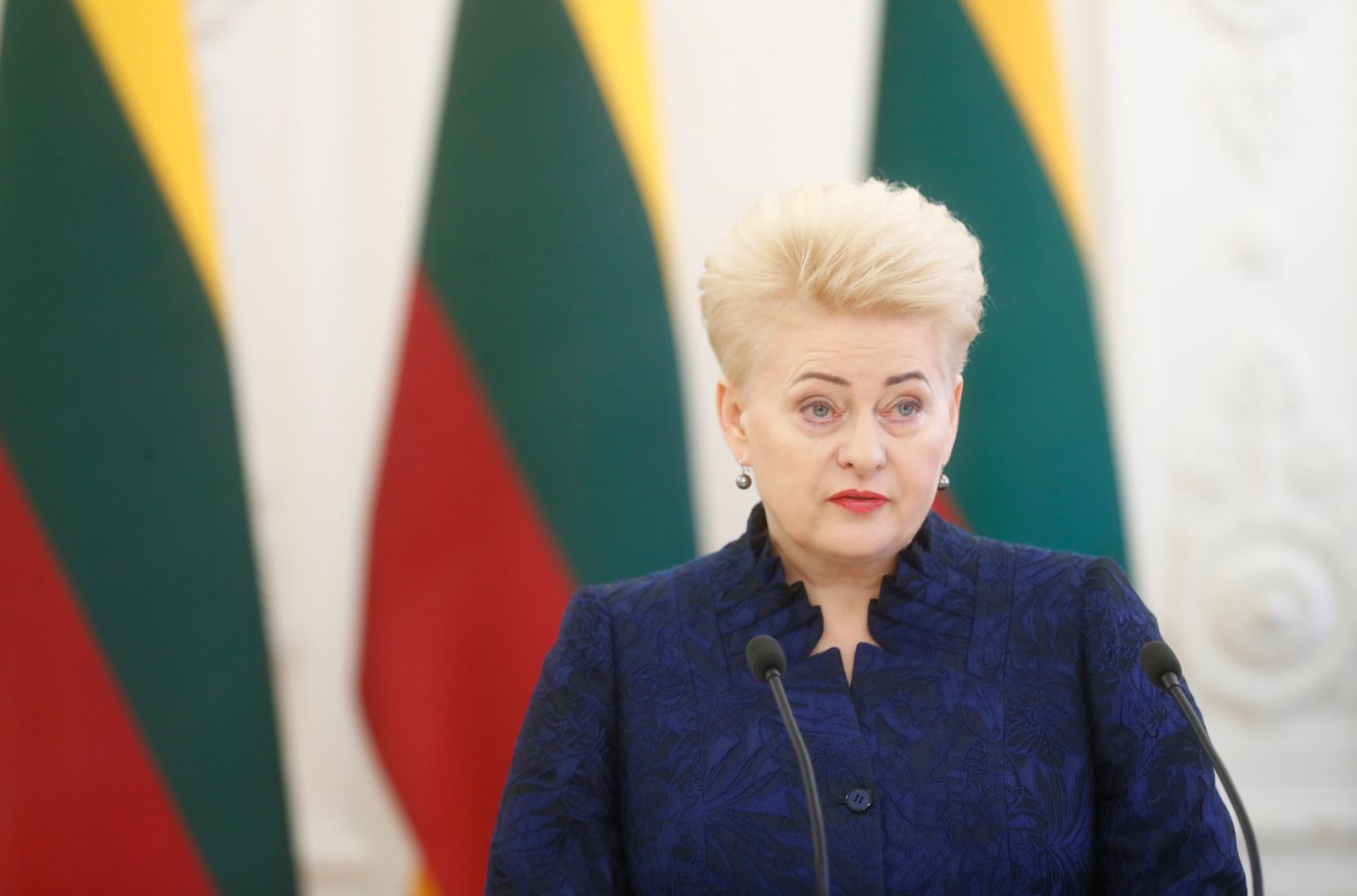 Leedu president Dalia Grybauskaite tervitas suurinvesteeringut.