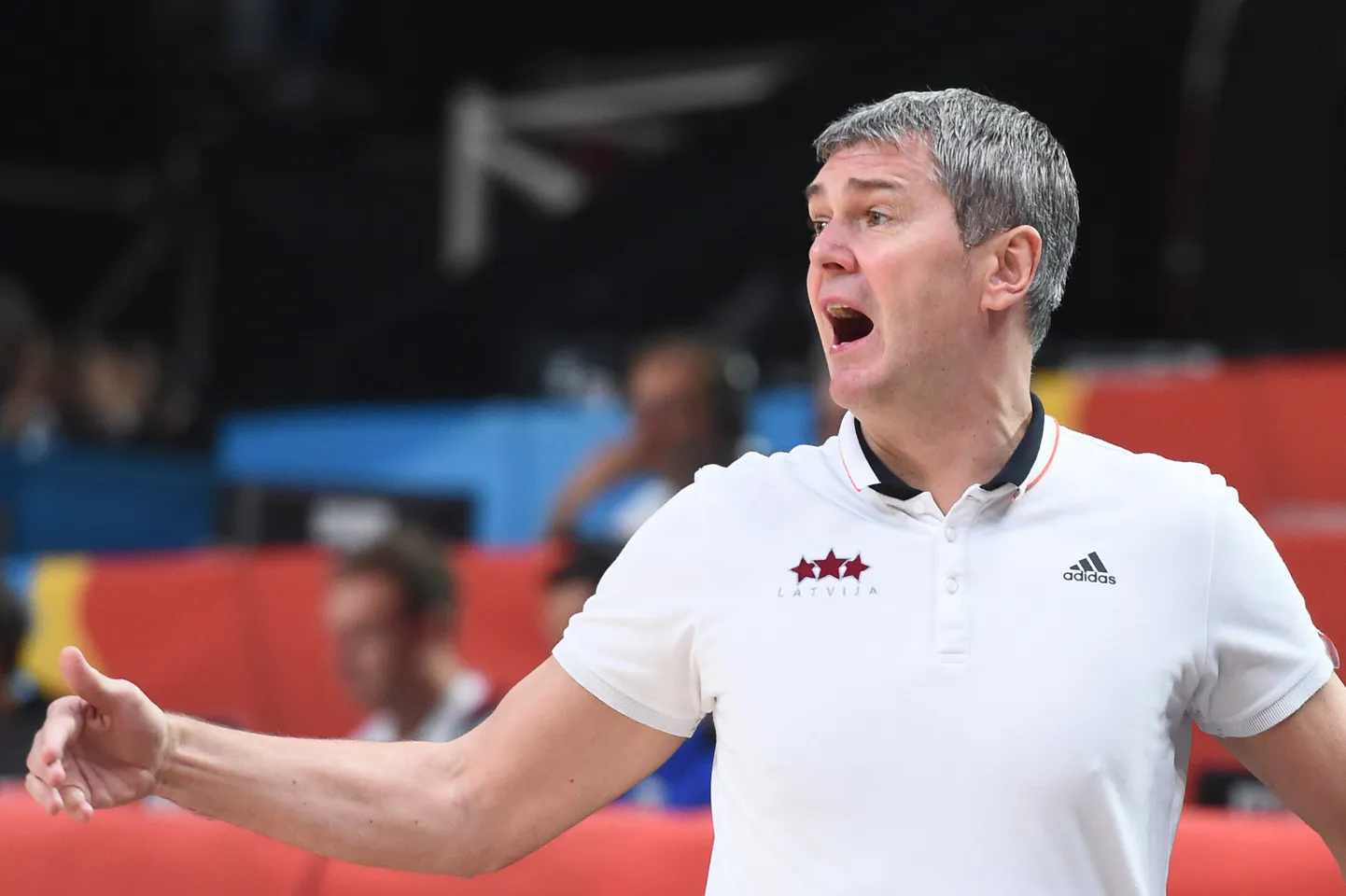 Ainars Bagatskis.