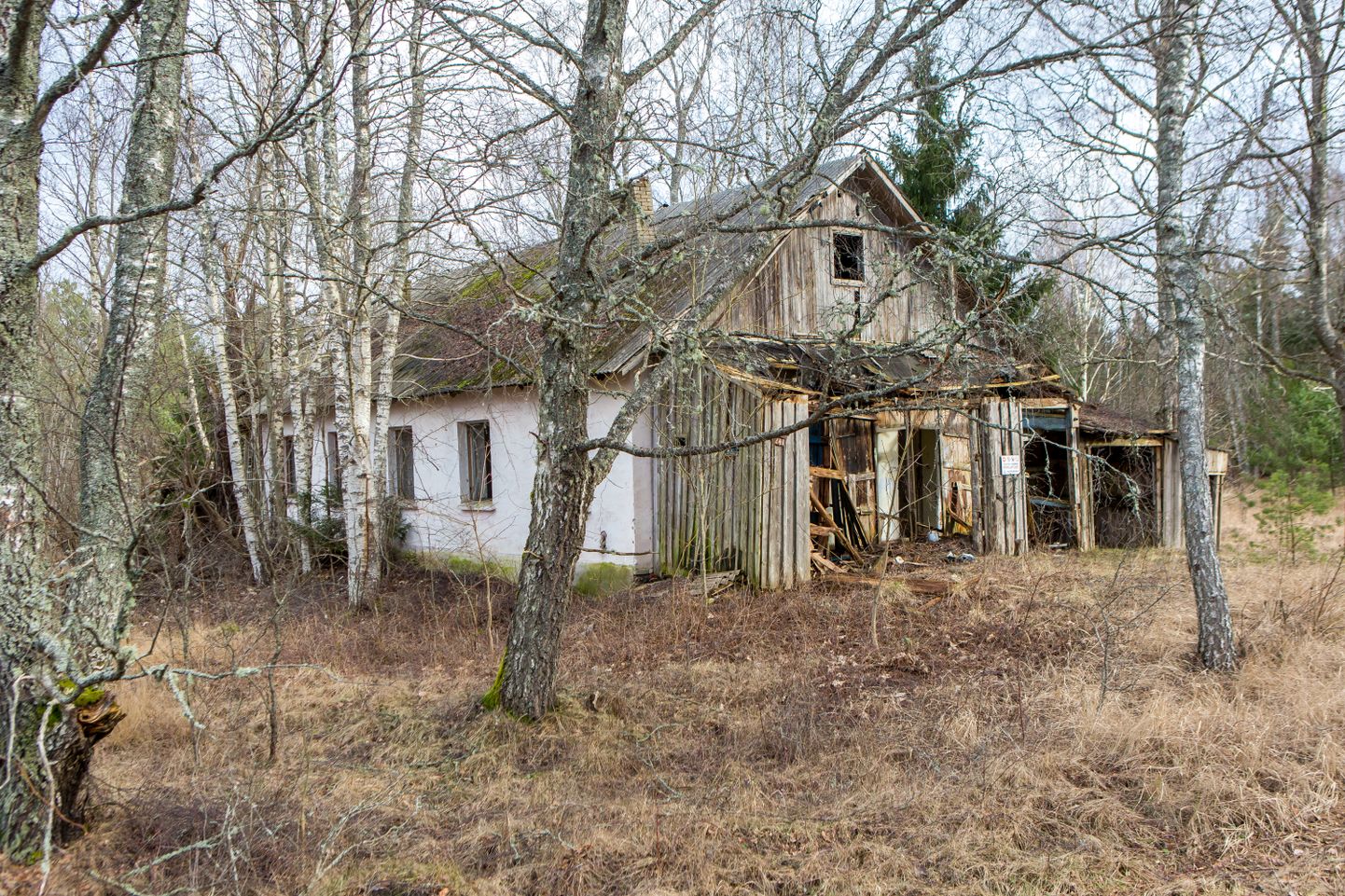Peamiselt maantee ääres asuvate ja Karujärvest kiviviske kaugusel olevate hoonete seisukorda nimetas Linamäe ohtlikuks ning ainuvõimalus ongi need lammutada.