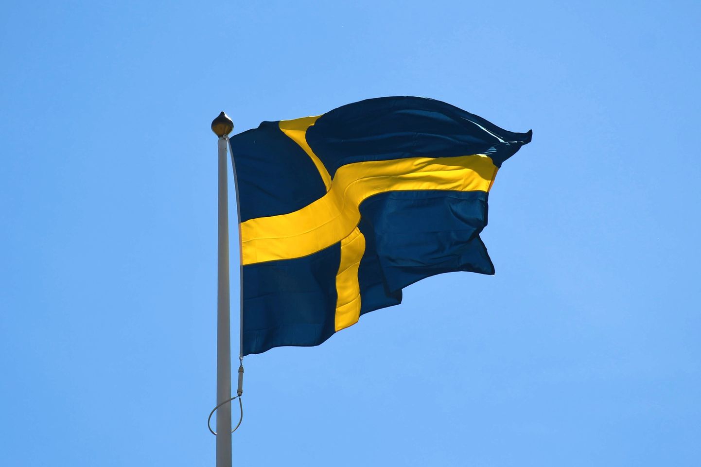 Soome võrguettevõtte juhi sõnul rikuvad rootslased reegleid. Fotol Rootsi lipp.