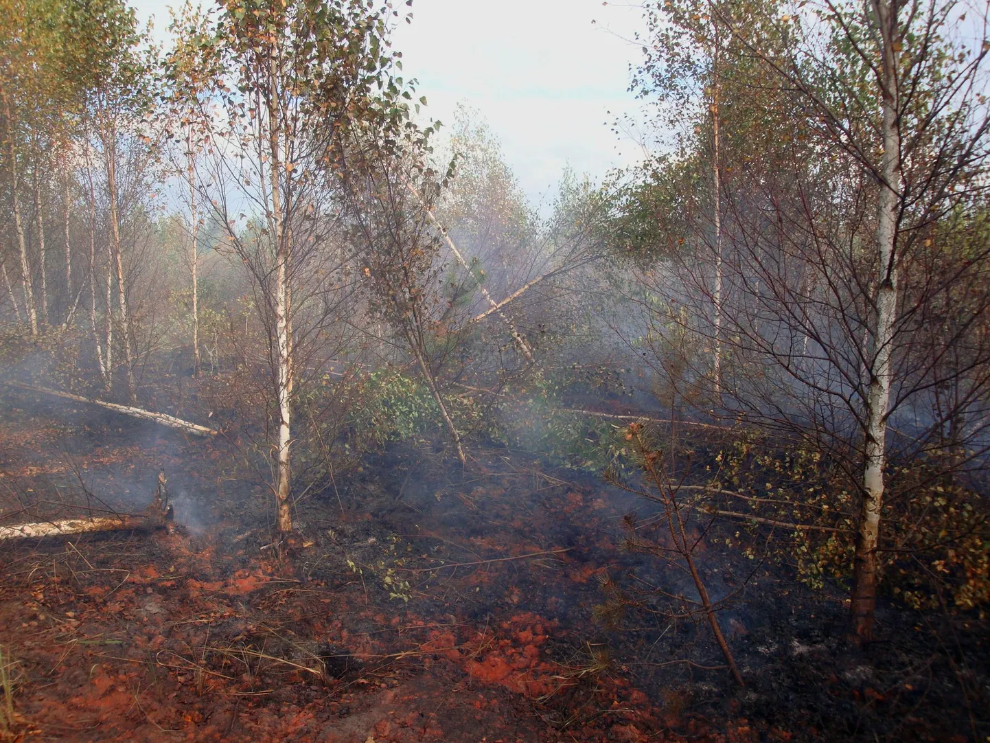 Tulekahju Kurtna turbaväljadel.