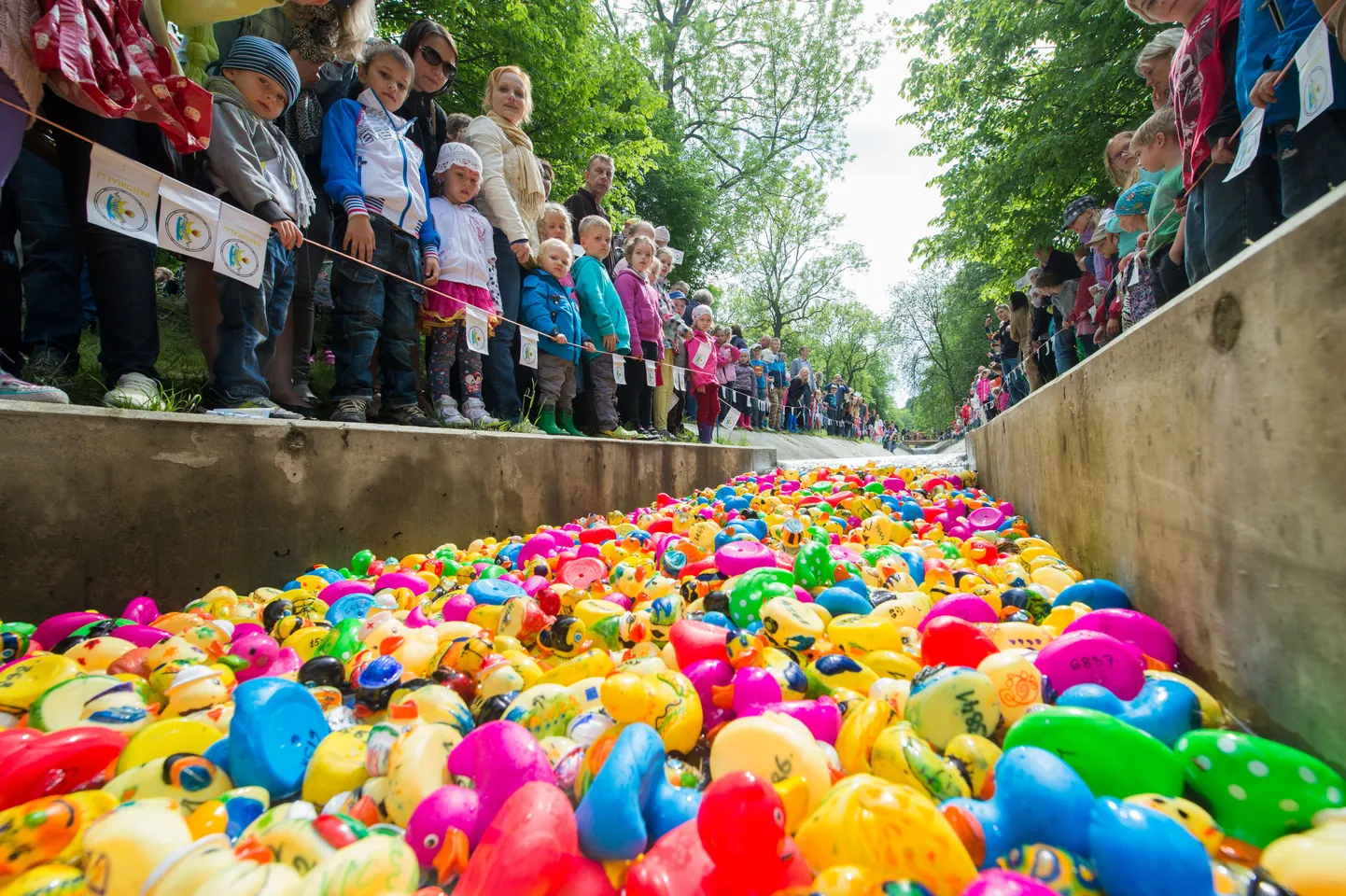 Pardiralli Kadrioru pargis.