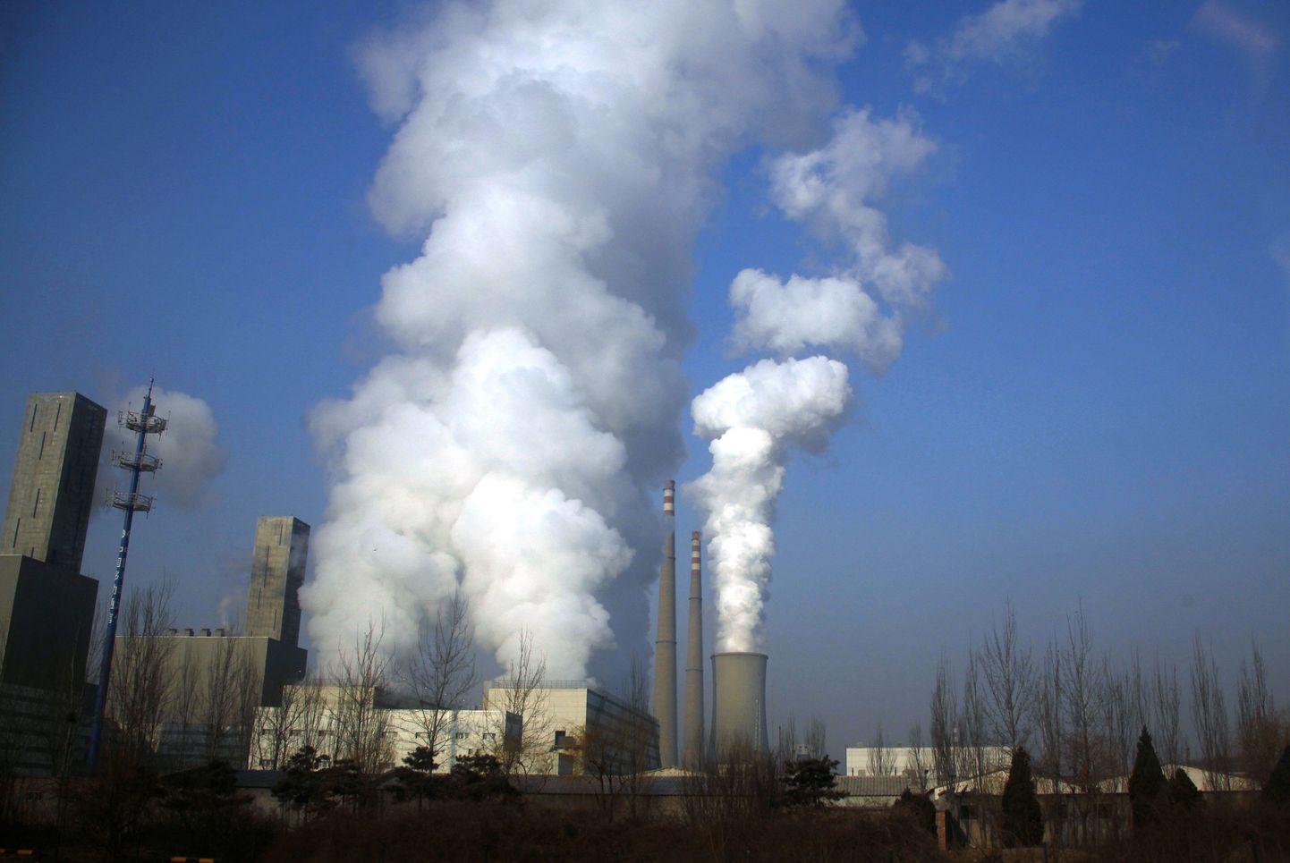 Süsinikuhindade kollaps kutsub ministrid kriisikoosolekule.
