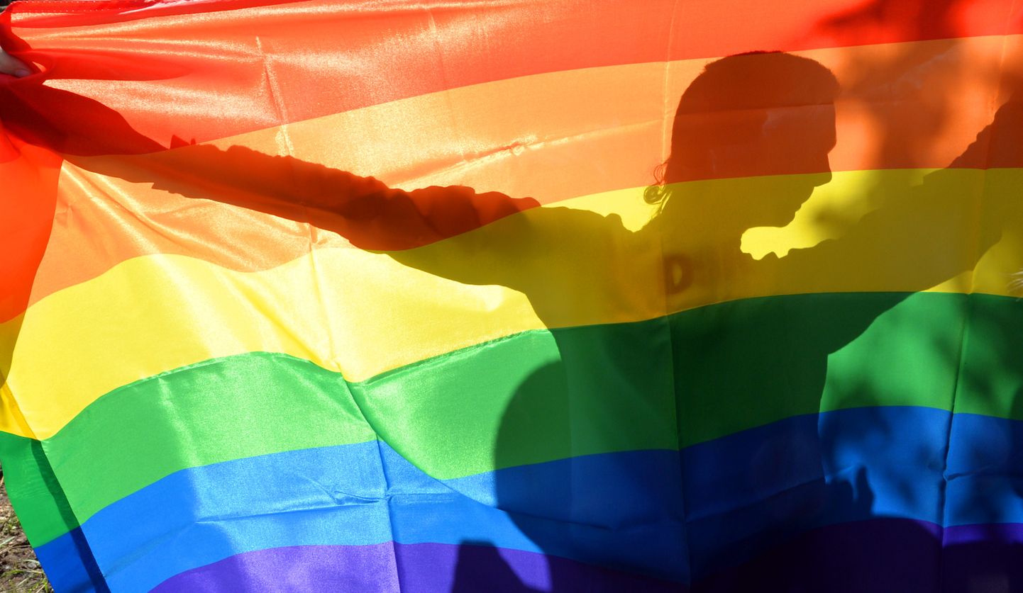 LGBTQ+ liikumise lipp.
